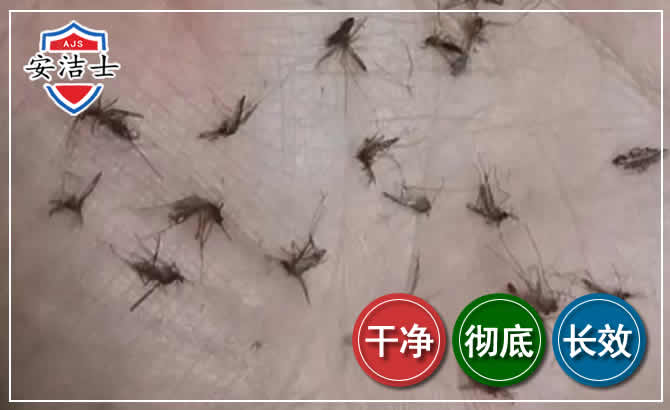 昌江蚊子防治-灭蚊