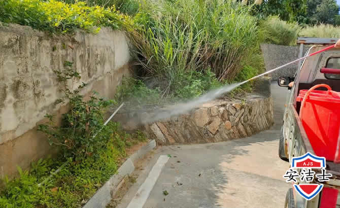昌江道路堤坝白蚁防治