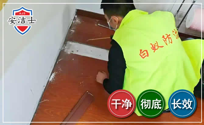 昌江除四害现场