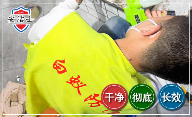 昌江白蚁根治现场